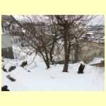 DSCN3037.JPG